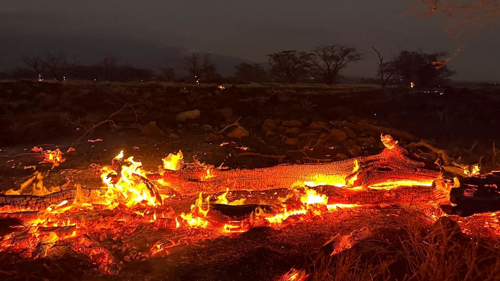hawaii fires